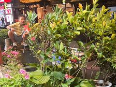 -龙翔山庄雷鸡肉(青城后山泰安古镇店)