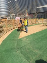 -萌宠亲子动物乐园(槐房万达店)