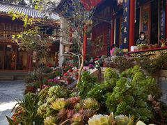 -寂照庵