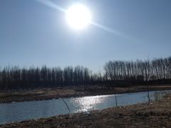 -东郊湿地公园