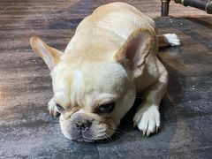 -顽主轰趴馆团建ktv桌游狼人杀(望京店)