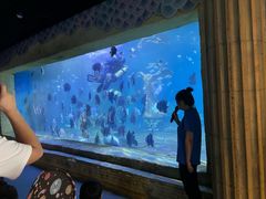 -梦幻海洋王国(吾悦广场张家港店)