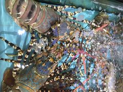 iphone_upload_pic-渔民新村(番禺总店)