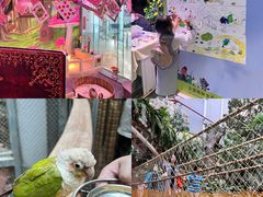-正佳雨林生态植物园
