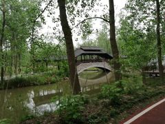 -合肥滨湖国家森林公园