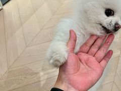 -成都银泰中心in99