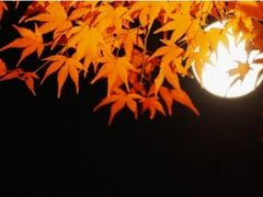 -学习谷日语培训日本留学·多语种外语教学(西单宣武分部)