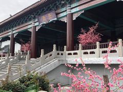 -厦门方特梦幻王国