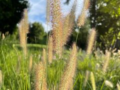 -北京金海湖景区