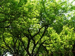 -敬亭山风景名胜区