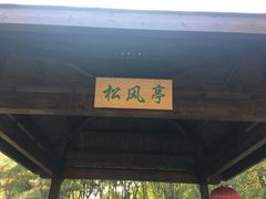 -大兴滨河森林公园