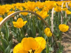 -玄武湖景区-情侣园游乐场