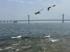 -星海广场