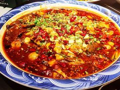 来凤鱼-新概念来凤鱼(璧山店)
