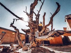 -镇北堡西部影城