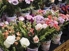 -鹿岛生活(熙地港店)