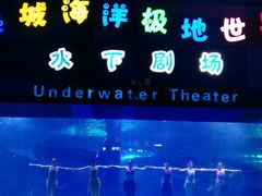-泉城欧乐堡海洋极地世界