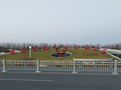 -合肥滨湖国家森林公园