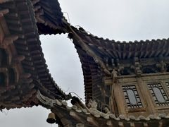 -张掖大佛寺景区