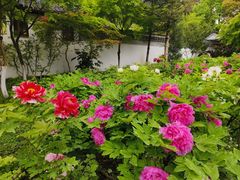 -狼山风景名胜区