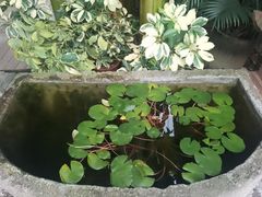 -莫催咖啡