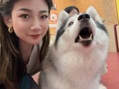 -和它·交个朋友·狗咖猫咖(爱琴海店)