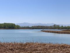 -野鸭湖国家湿地公园
