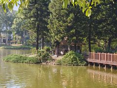 -南宁荔园维景国际大酒店·荔园中餐厅