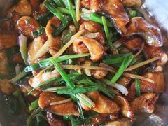 -鲤鱼塘农家山庄