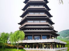 -秦巴石锅鱼(文化南路店)