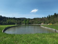 -武陵山森林公园