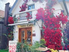 -弗兰克牛排西餐厅Ribone steak house(柠檬花园店)