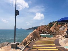 -广东惠东海龟国家级自然保护区