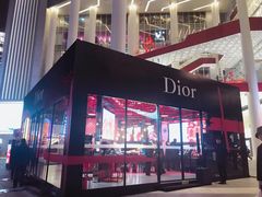 -Dior迪奥(上海世茂广场店)