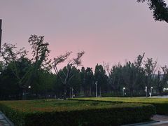 -河南财经政法大学(郑东校区)