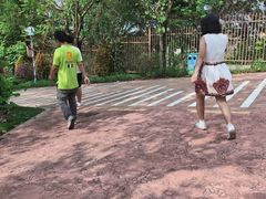 -美的鹭湖森林度假区