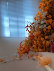 -WENDY·温迪皮肤管理