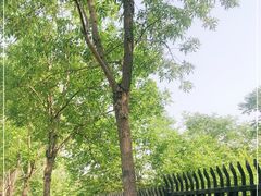 -永定河休闲森林公园