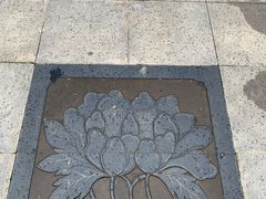 -洛阳市隋唐城遗址植物园