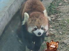 -无锡动物园·太湖欢乐园