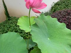 -苏州东山雕花楼宾馆