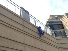 -中海环宇荟