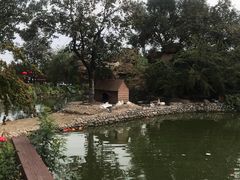 -静之湖湖畔餐厅