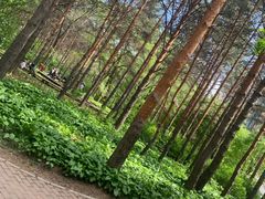 -黑龙江省森林植物园