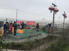 -小鱼草莓采摘园农家乐·小鱼餐厅