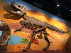 -北京科学中心儿童乐园