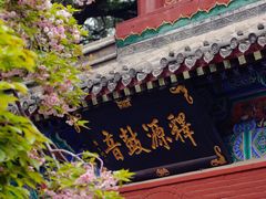 -洛阳白马寺