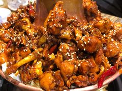 -刘记光大火锅鸡(北行店)