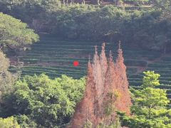 -梅州天地人花园酒店(梅县人民广场店)