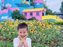 -南京银杏湖乐园